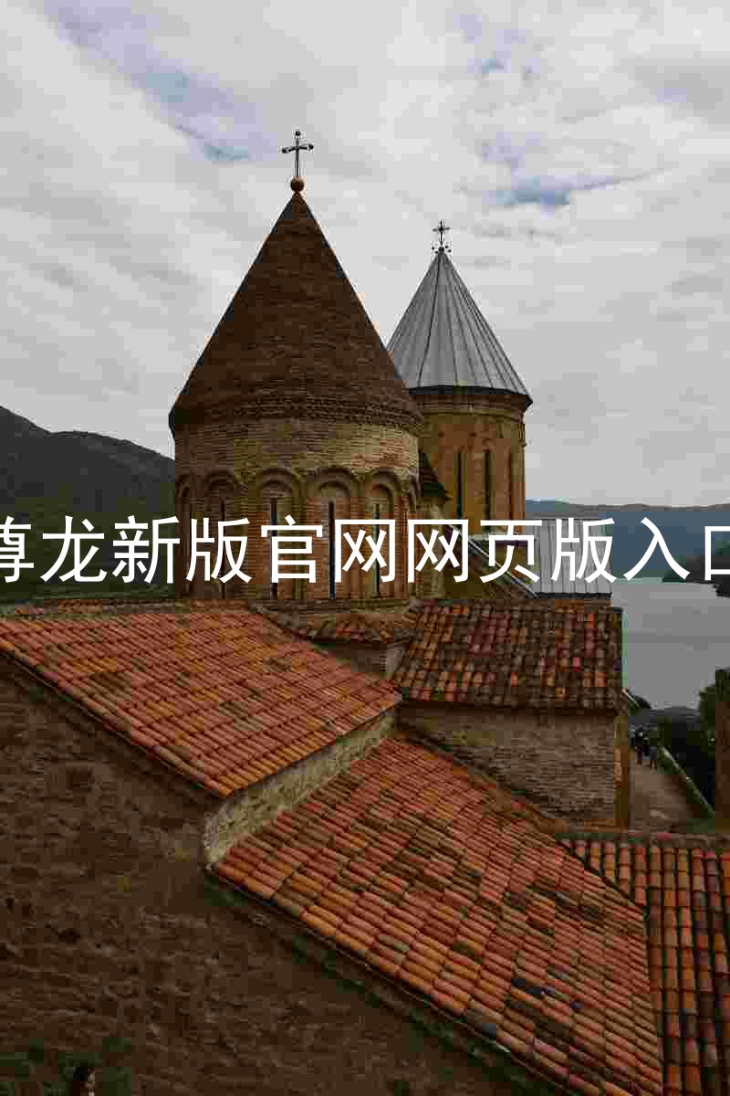 尊龙新版官网网页版入口