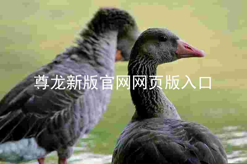 尊龙新版官网网页版入口