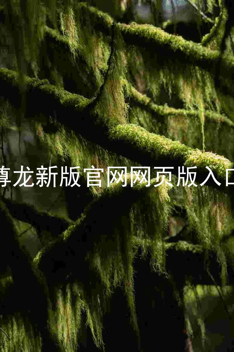 尊龙新版官网网页版入口