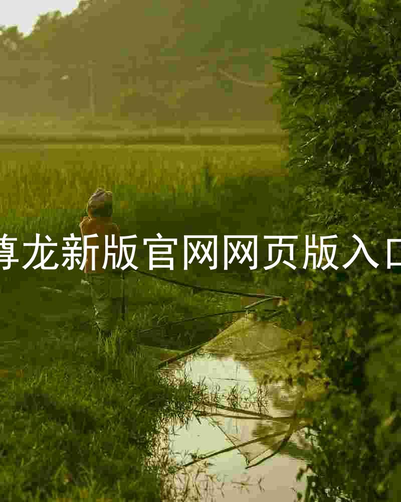 尊龙新版官网网页版入口