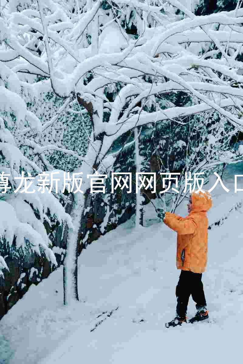 尊龙新版官网网页版入口
